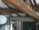 LIPPARINI (4)