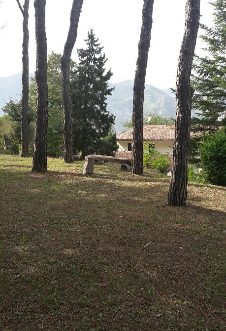 LIPPARINI 43