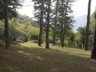 LIPPARINI (6)