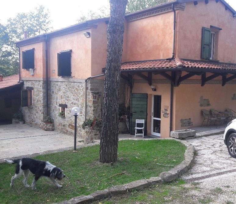 Collinello